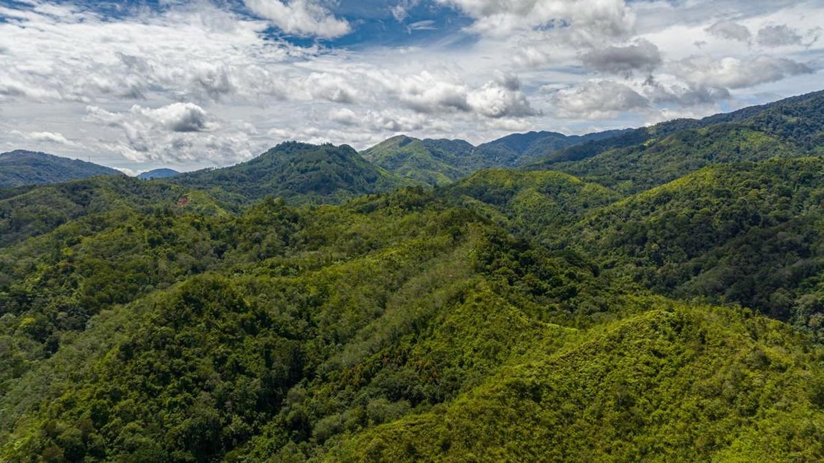 Jejak Lanskap Sumatera Utara